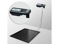 Весы платформенные врезные Масса-К 4D-PMF-20/15-1000-RA