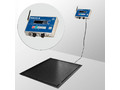 Весы платформенные врезные Масса-К 4D-PMF-20/15-3000-AB(RUEW)