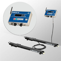Купить Весы стержневые МАССА 4D-B-12/1-1000-AB(RUEW)