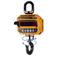 Купить Крановые весы промышленные CAS 3 THD Caston III (Plus)
