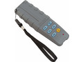 Крановые весы промышленные CAS 1 THD Caston III (Plus)