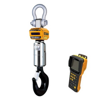 Купить Крановые весы промышленные CAS 20 THD RF Caston III (Plus), с пультом управления TWN-B