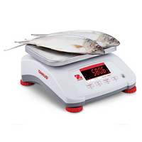 Купить Весы порционные влагозащищенные OHAUS Valor V41PWE3T