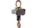 Весы крановые  промышленные CAS 0,5 THA Caston 1