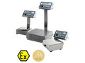 Весы лабораторные Shinko ViBRA GZH-B30KCEX, взрывобезопасные