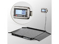 Весы платформенные с пандусами МАССА 4D-LA-10/10-1500 (весовой модуль)