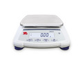 Лабораторные весы OHAUS SJX621/E