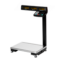 Купить Весы торговые системные МАССА МК-32.2-ТВ21 RS/USB (RU)
