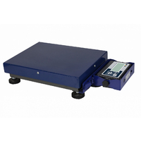 Купить Товарные весы MAS PM1B-150-4050-М