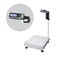 Купить Весы товарные МАССА TB-5040N-32.2-RL1 с печатью этикеток, платформа из нержавейки