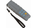 Крановые весы промышленные CAS 10 THD Caston III (Plus), с крюком